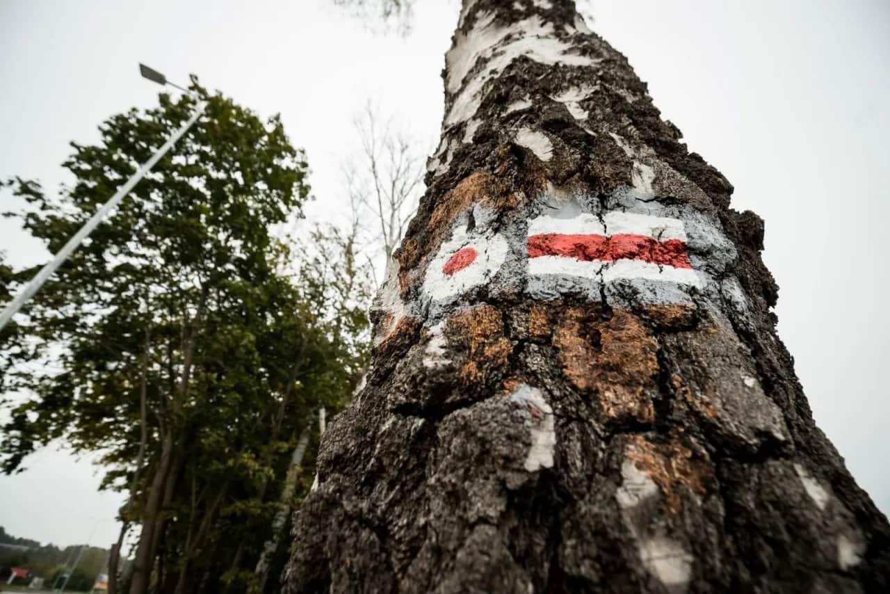 Czerwony szlak w górach: czy jest trudny? Rozwiej mity PTTK!