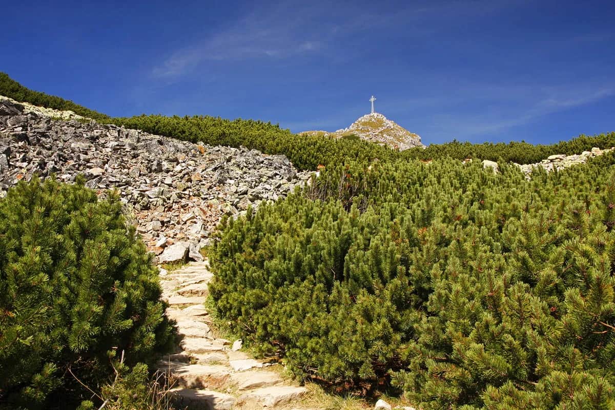 Giewont: Najłatwiejszy szlak z Kuźnic? Przewodnik krok po kroku