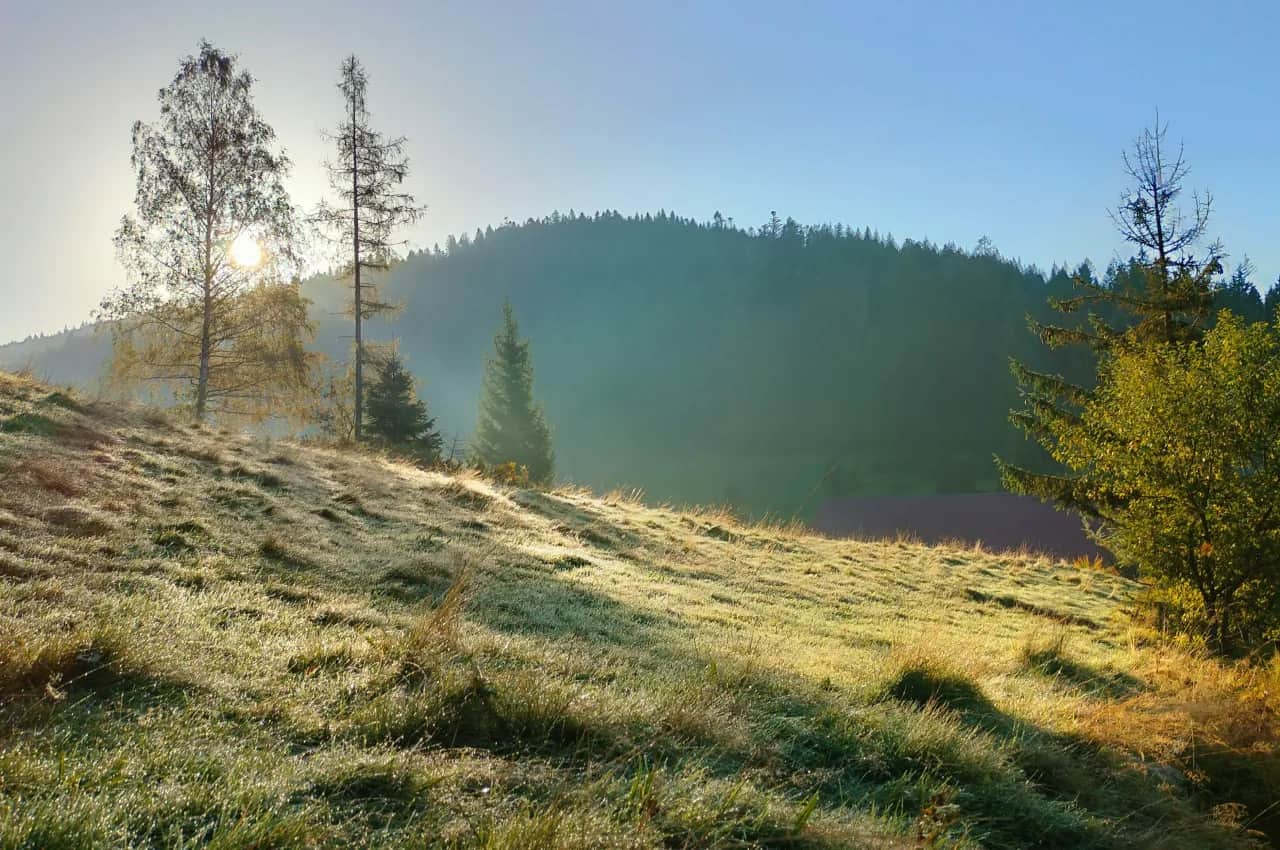 Stare Wierchy: Szlaki, widoki, schronisko zaplanuj idealną wycieczkę