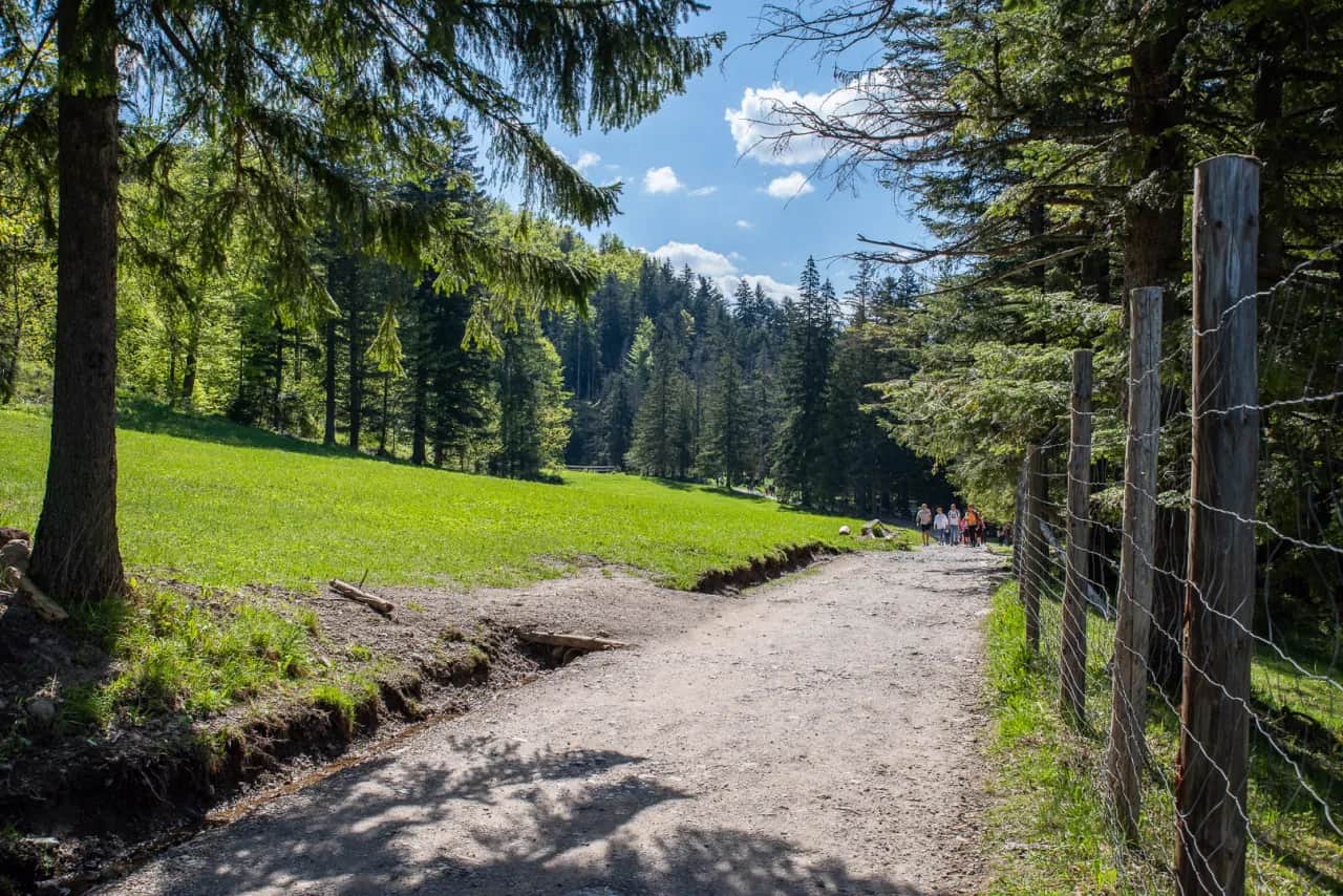 Bacówka na Polanie Biały Potok: Skosztuj Tatr! Sery, dojazd, porady