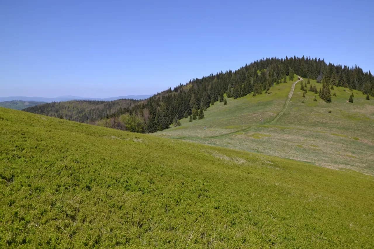Bacówka na Rycerzowej: Szlaki, noclegi, racuchy planuj wycieczkę!