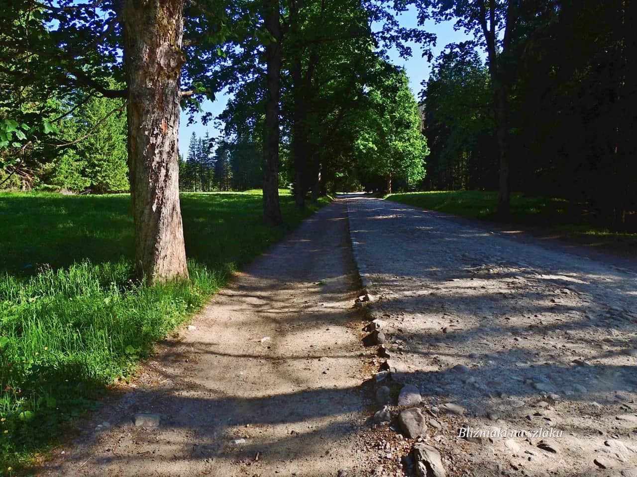 Bacówka w Dolinie Kościeliskiej: Autentyczny smak Tatr i praktyczne porady
