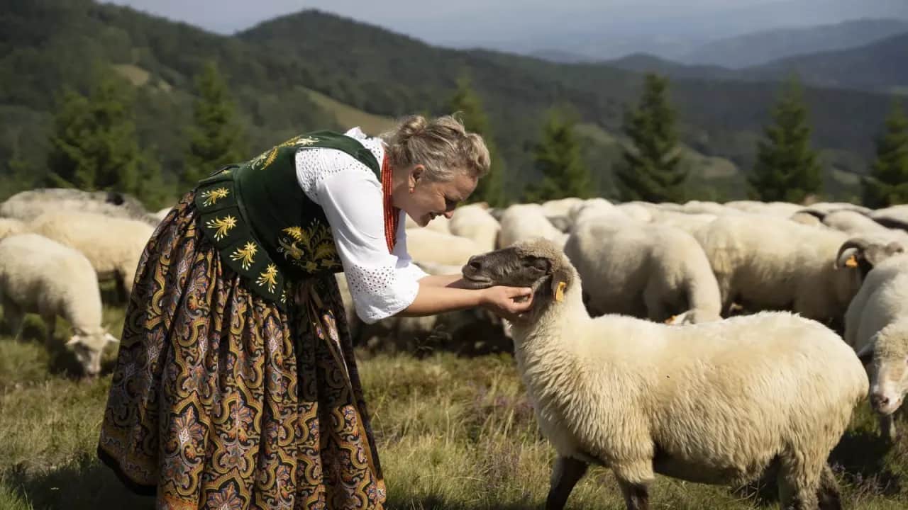 Bacówka u Jancoka: Poznaj sekrety Podhala z pierwszą kobietą-bacą