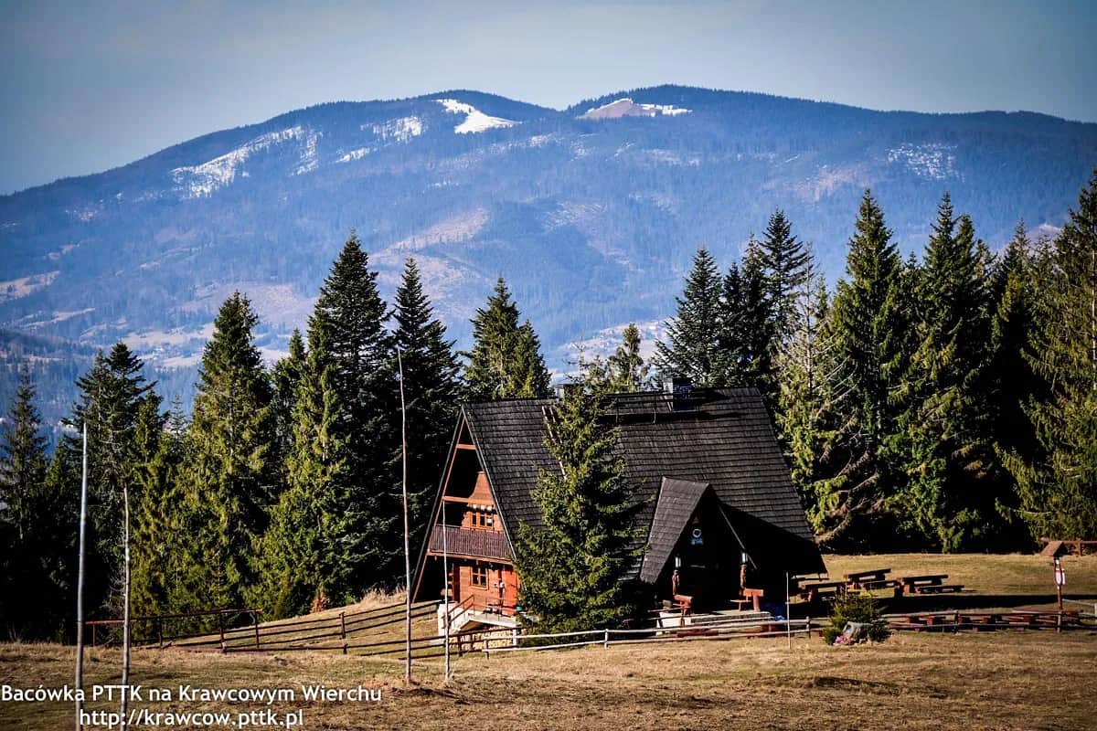 Krawców Wierch: Bacówka, szlaki, noclegi i krokusy planuj wycieczkę!
