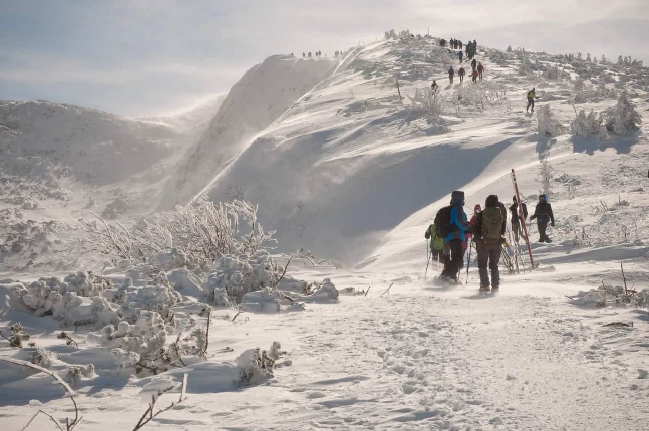 Zawoja: Jakie góry? Beskid Żywiecki i szlaki na Babią Górę czekają!